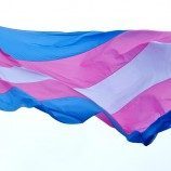 Penelitian Terbaru Ipsos: Etika Sosial Terhadap Individu Transgender di 16 Negara