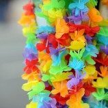 Hawaii Resmi Melarang ‘Terapi Penyembuhan Gay’ Kepada Anak di Bawah Umur