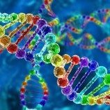Analisis DNA Terbesar yang Pernah Ada Mengungkap Mitos ‘Gen Gay’